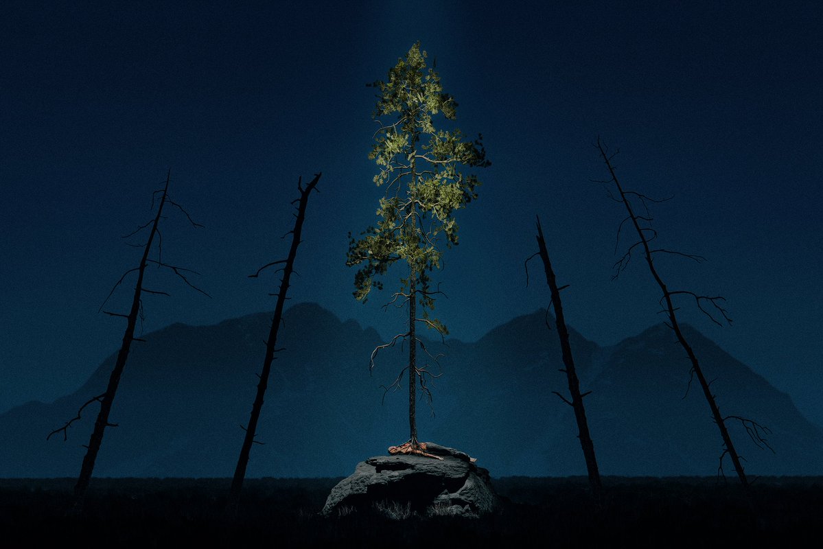 Sean Mundy tweet media