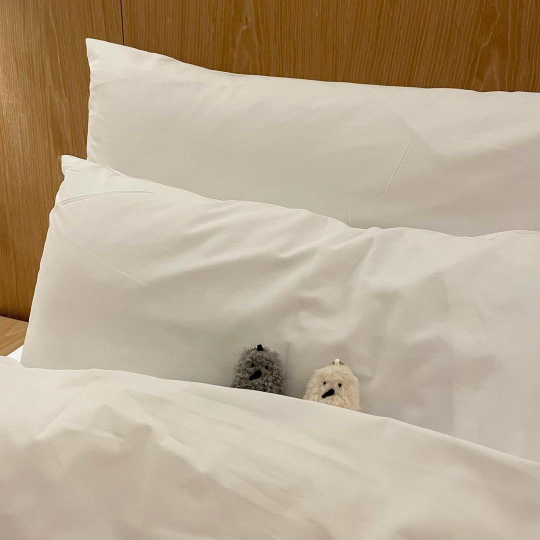 호즈미 tweet media