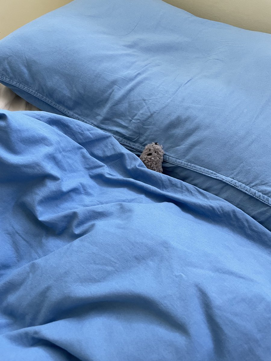 호즈미 tweet media