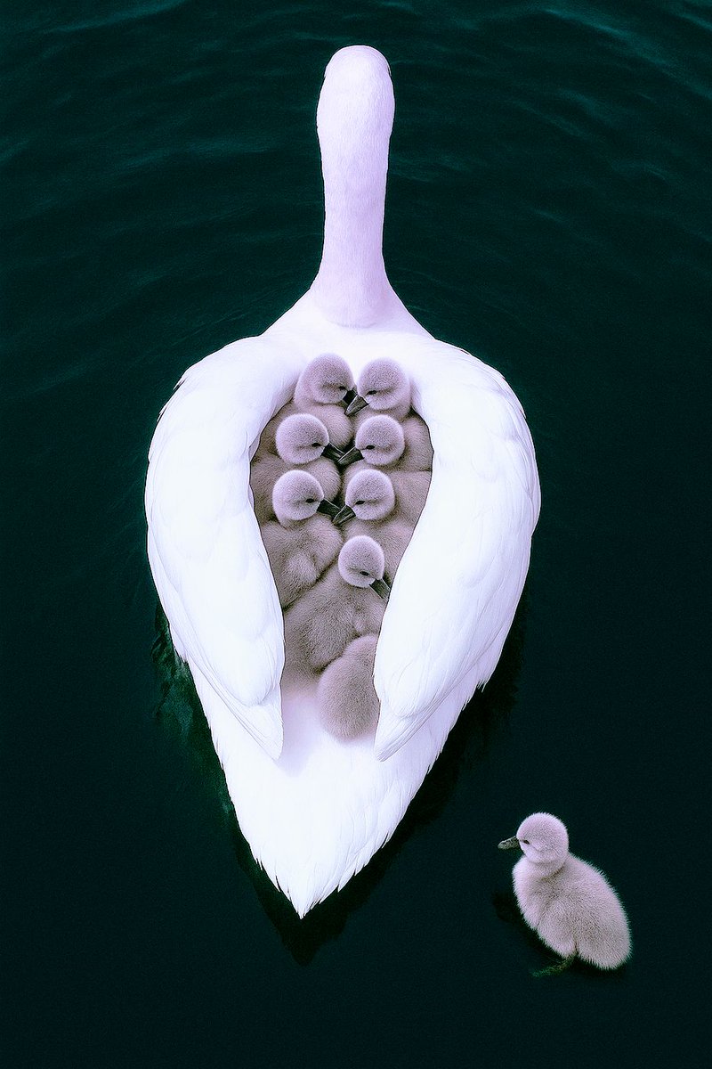 Good morning good people...