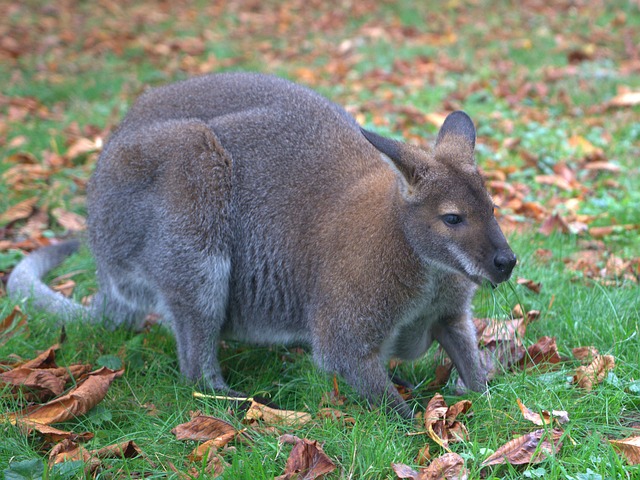 Jonathan Cardenas tweet media