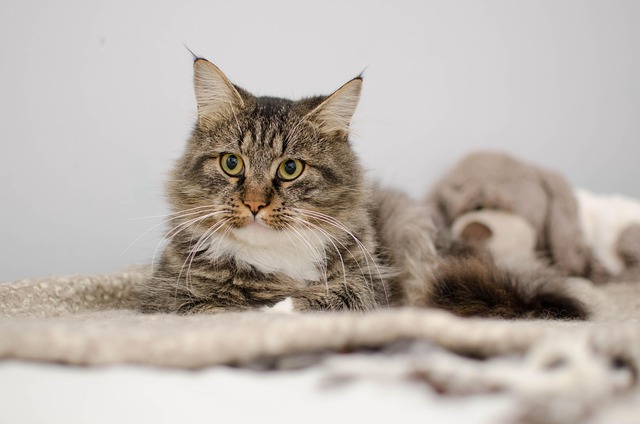 Joe Graham tweet media