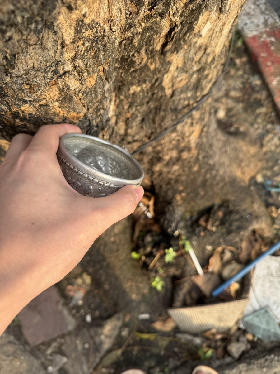 ลืมยาวเลยวันนี้ สวัสดีมื้อเที่ยงละกัน 😅 #Spysailub