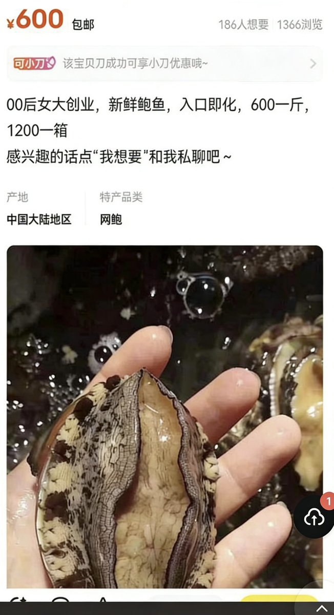 0x老沈🔶BNB tweet media