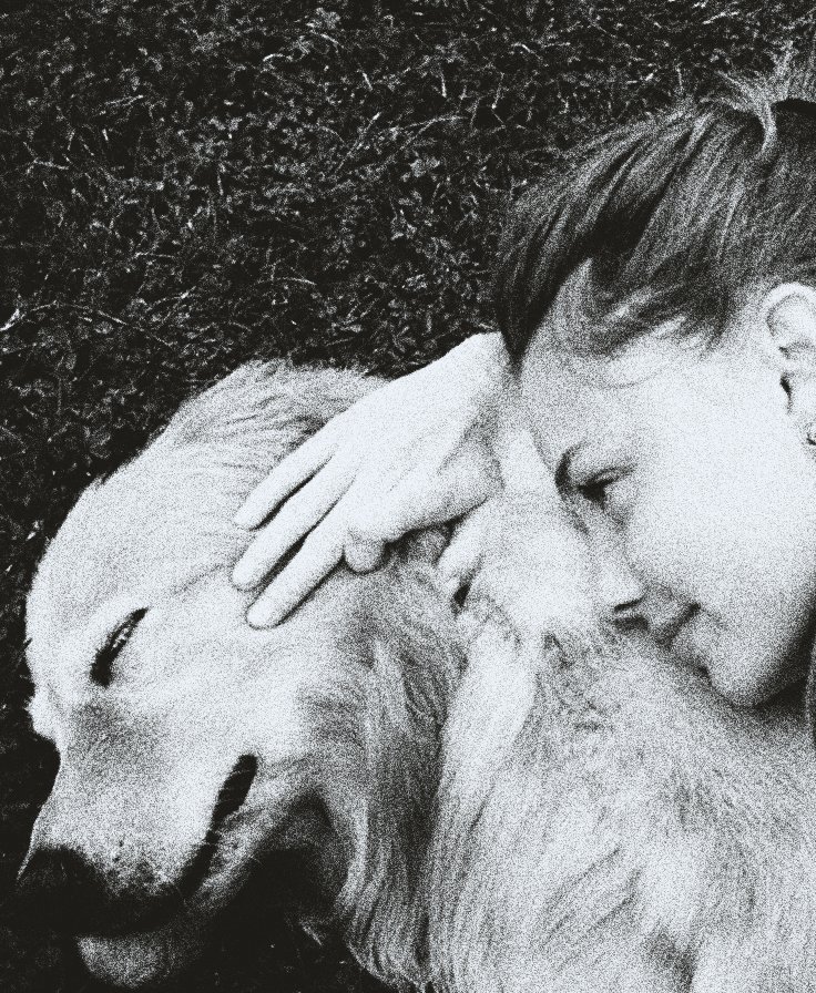 ᅟ ‍‍‍𝐖𝐈𝐋𝐃ᅟᅟ ‍‍‍༒ᅟᅟ ‍‍‍𝓯ᴸ͟ᴼ͟ᵂ͟ᴱ͟ᴿ͟ . tweet media