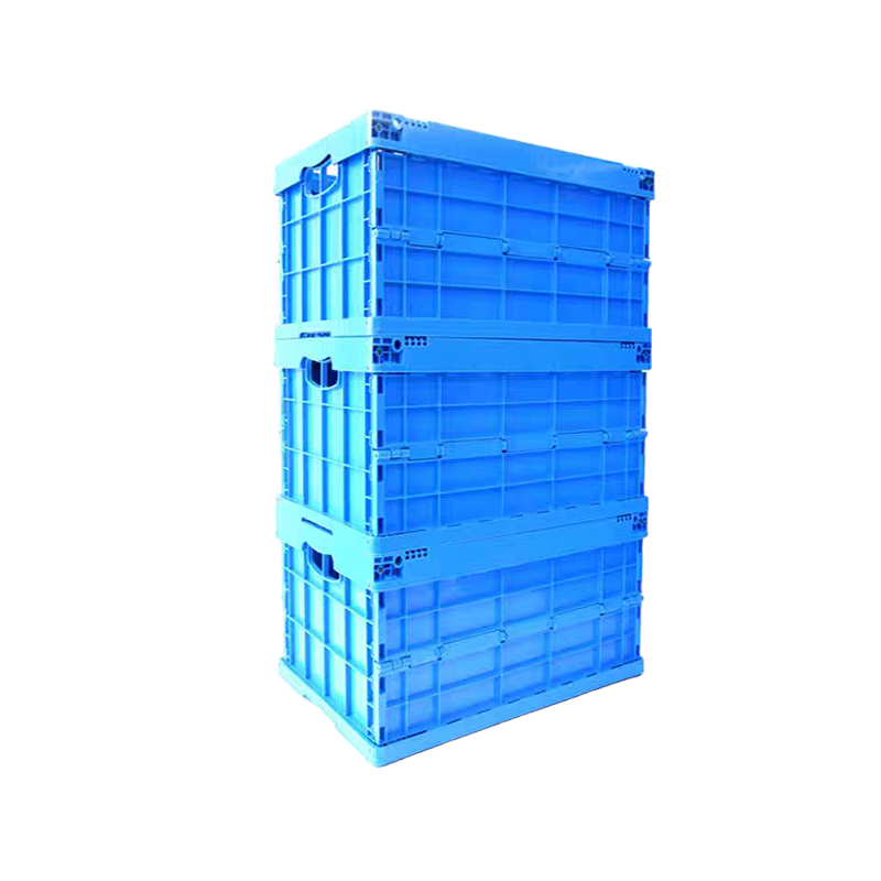 danielledibono tweet media