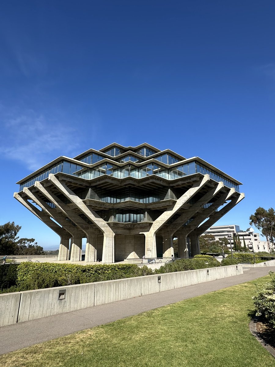 grace spelman tweet media