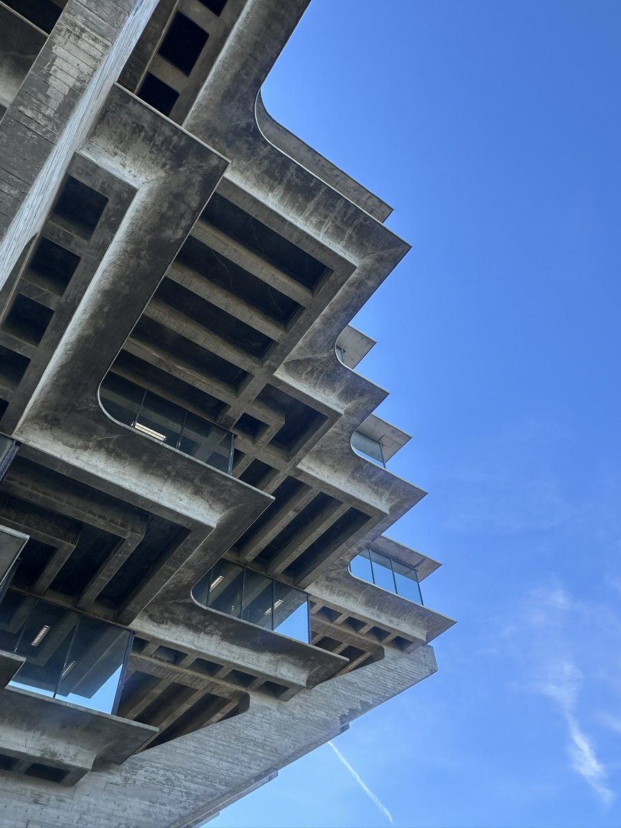 grace spelman tweet media