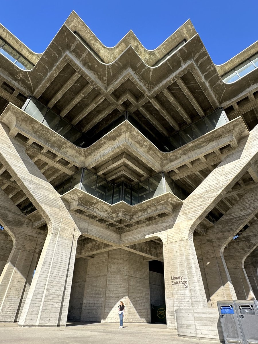 grace spelman tweet media