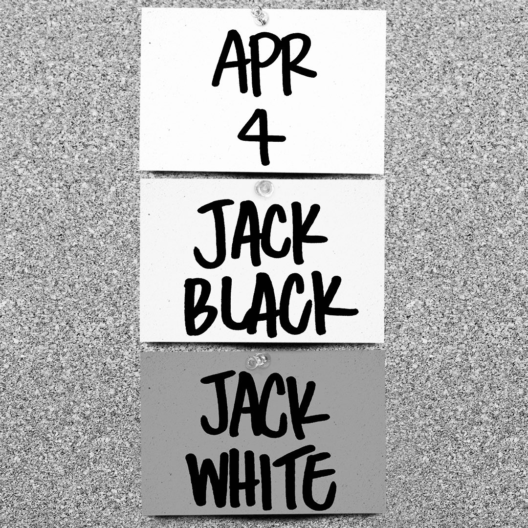 Caz 🐢 tweet media