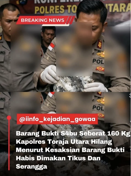 Bossman Mardigu tweet media