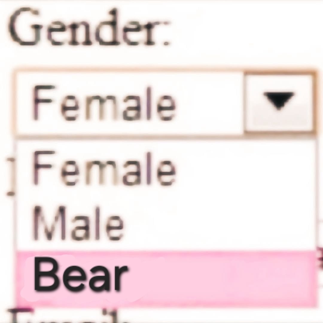 helio tha bwear tweet media