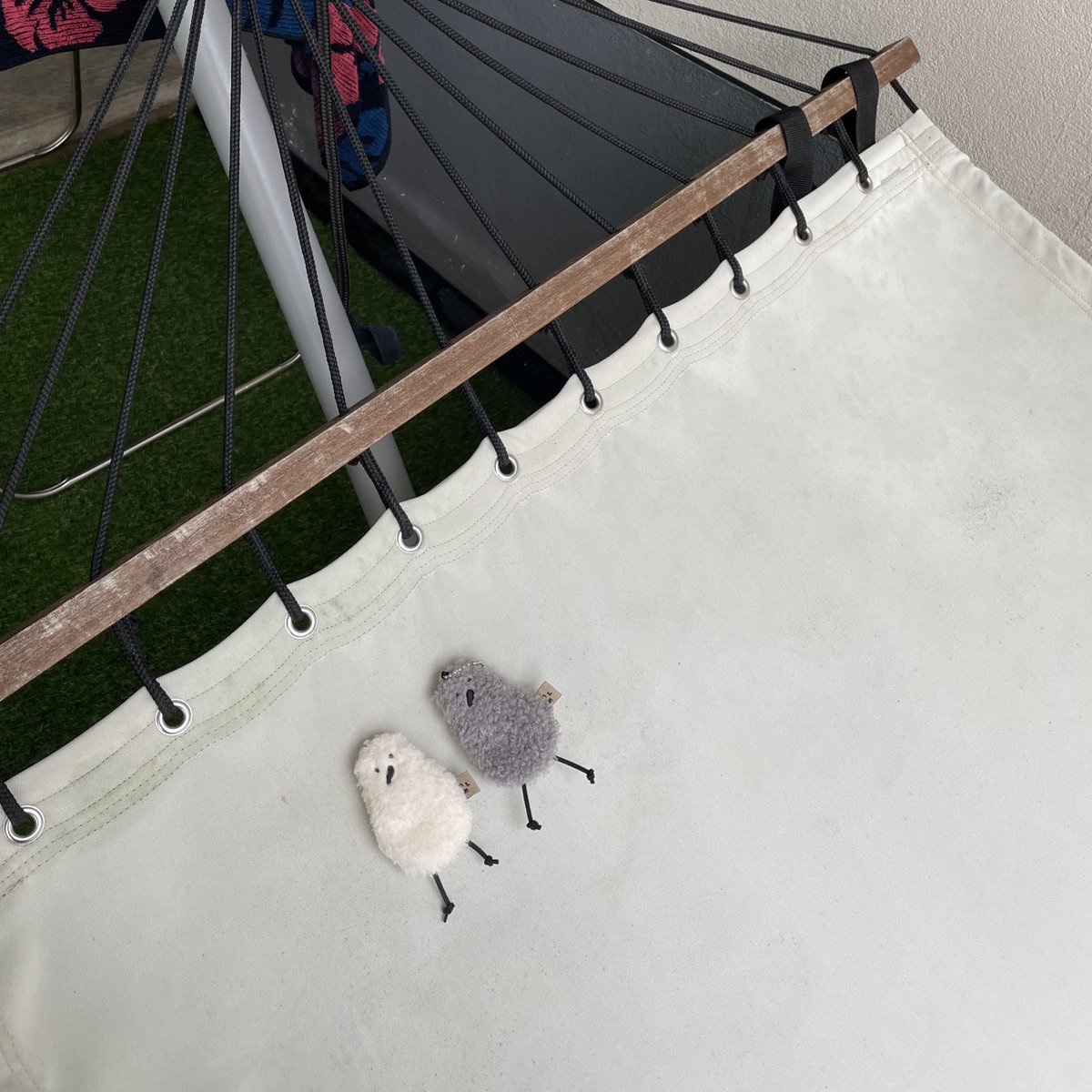 호즈미 tweet media