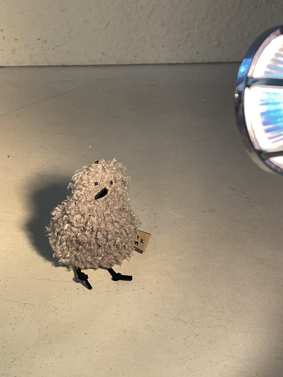 호즈미 tweet media