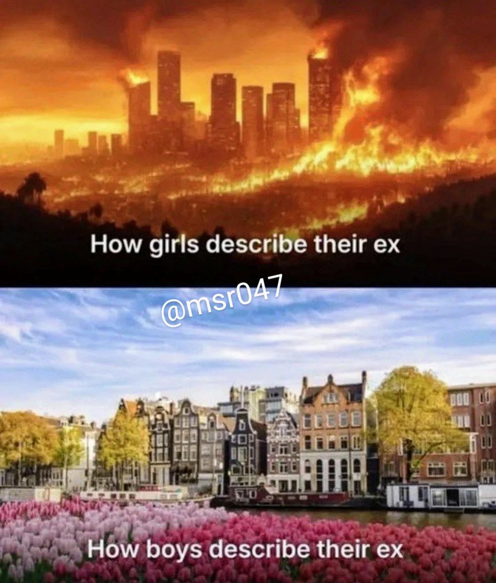 M S R 🇮🇳 tweet media