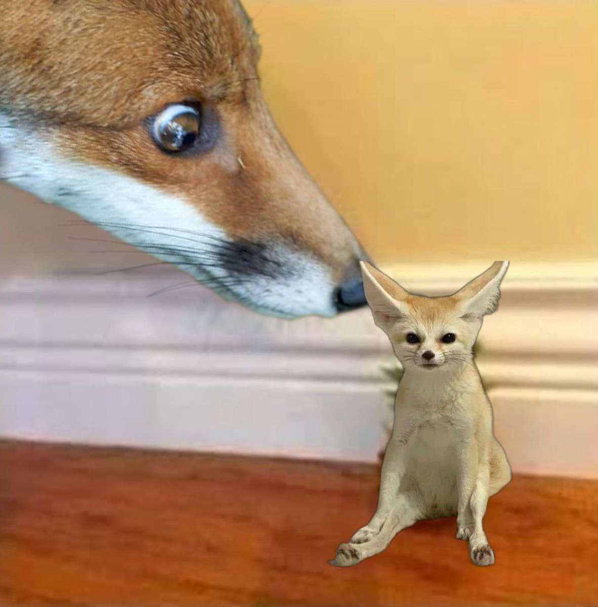 Sawfthausen tweet media