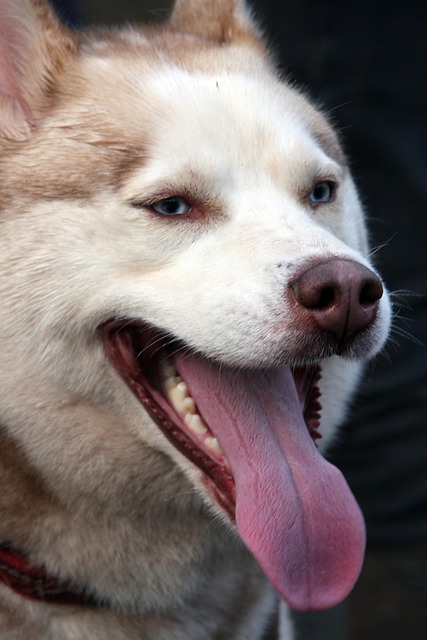 Ricky Titskey tweet media