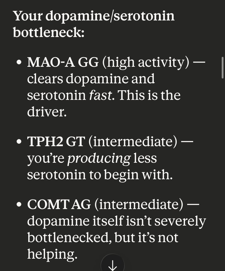 luke ✨ tweet media