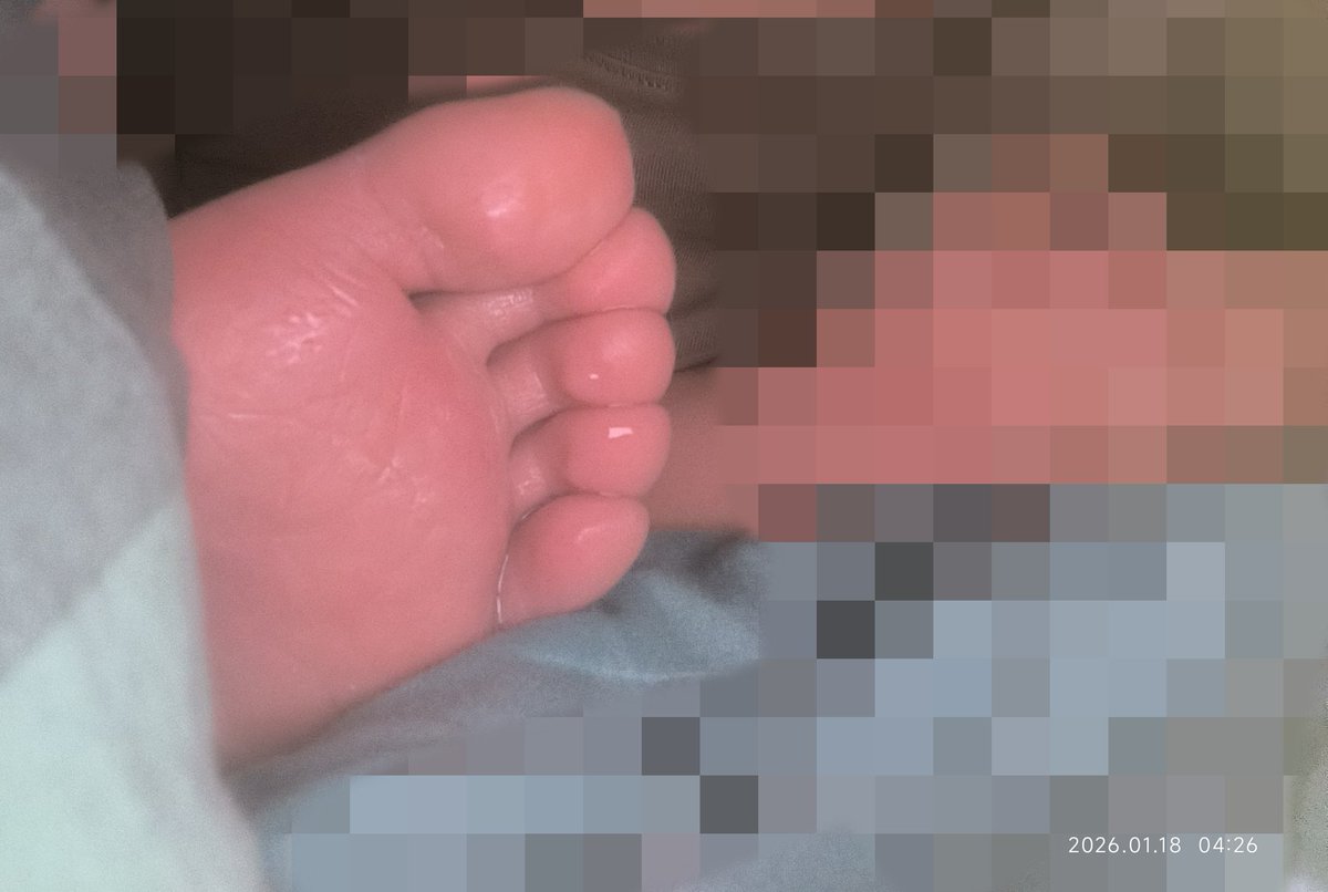 lidong03187639's tweet photo. ＃舔脚 ＃足控 ＃光脚  ＃脚趾 #舔脚服侍  #深喉 ＃舔脚奴 #踩头  ＃踩脸  #恋足 #舔鞋底 #舔鞋 ＃脚奴 ＃脚底 #踩脸 #脚深喉 ＃睡足 豪赤😋 https://t.co/1cFerUpgcM