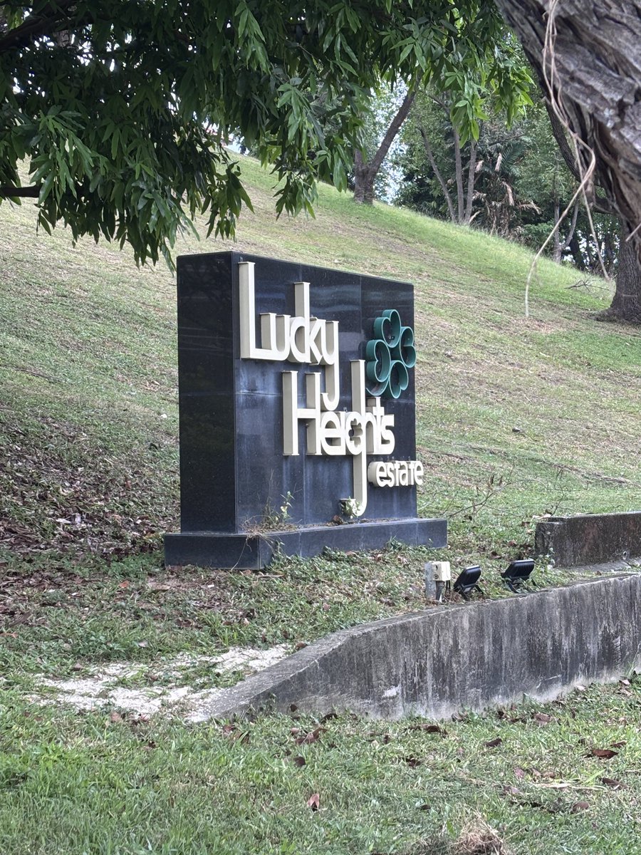 palmerdebra's tweet image. This morning Mum and I started the day climbing a long flight of stairs. So proud of her commitment to her health.

A few years ago I couldn’t even make it halfway. Today I did it several times and it felt easy.
Proof that determination change everything. 

#ProgressNotPerfection