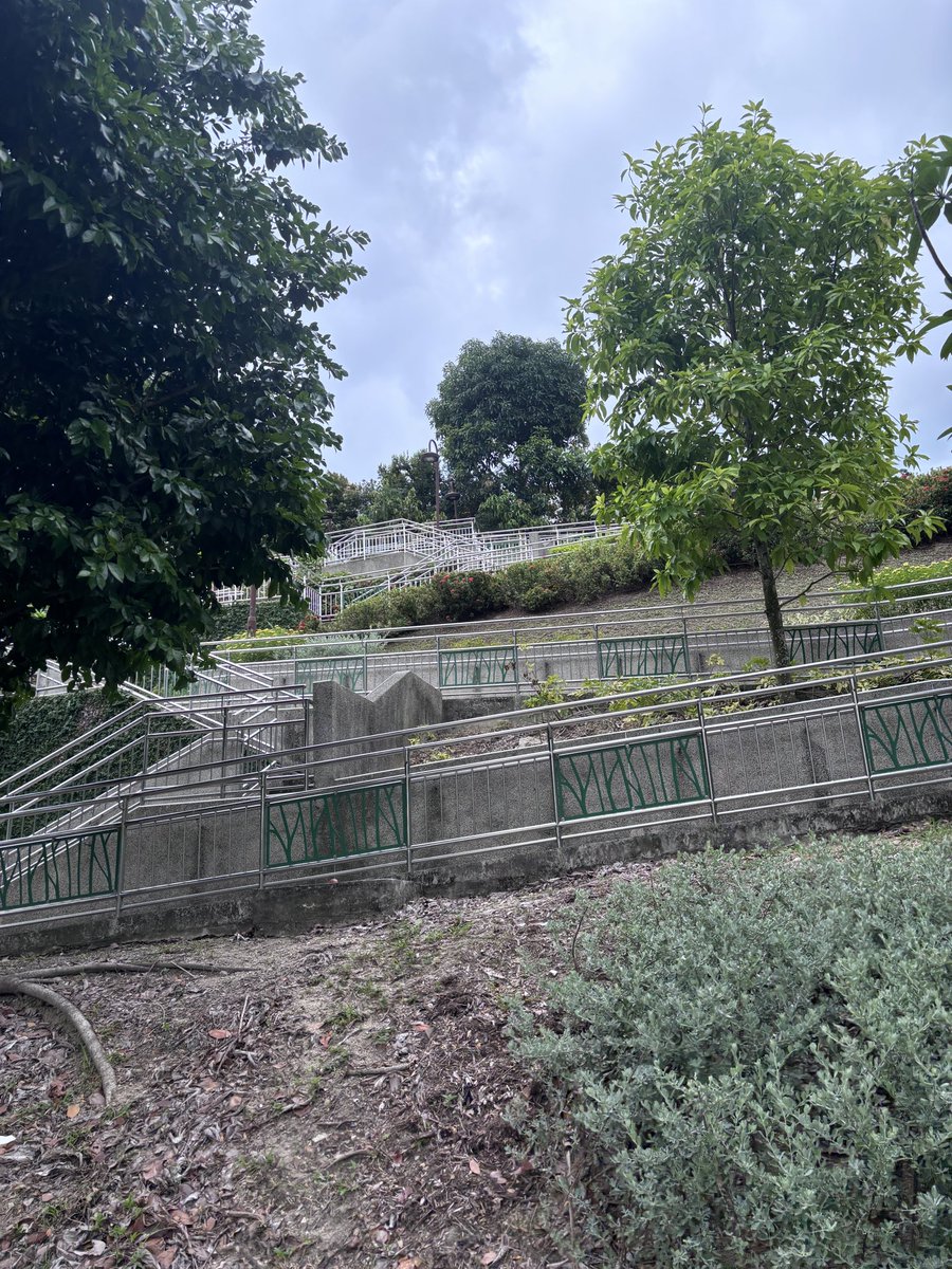 palmerdebra's tweet image. This morning Mum and I started the day climbing a long flight of stairs. So proud of her commitment to her health.

A few years ago I couldn’t even make it halfway. Today I did it several times and it felt easy.
Proof that determination change everything. 

#ProgressNotPerfection