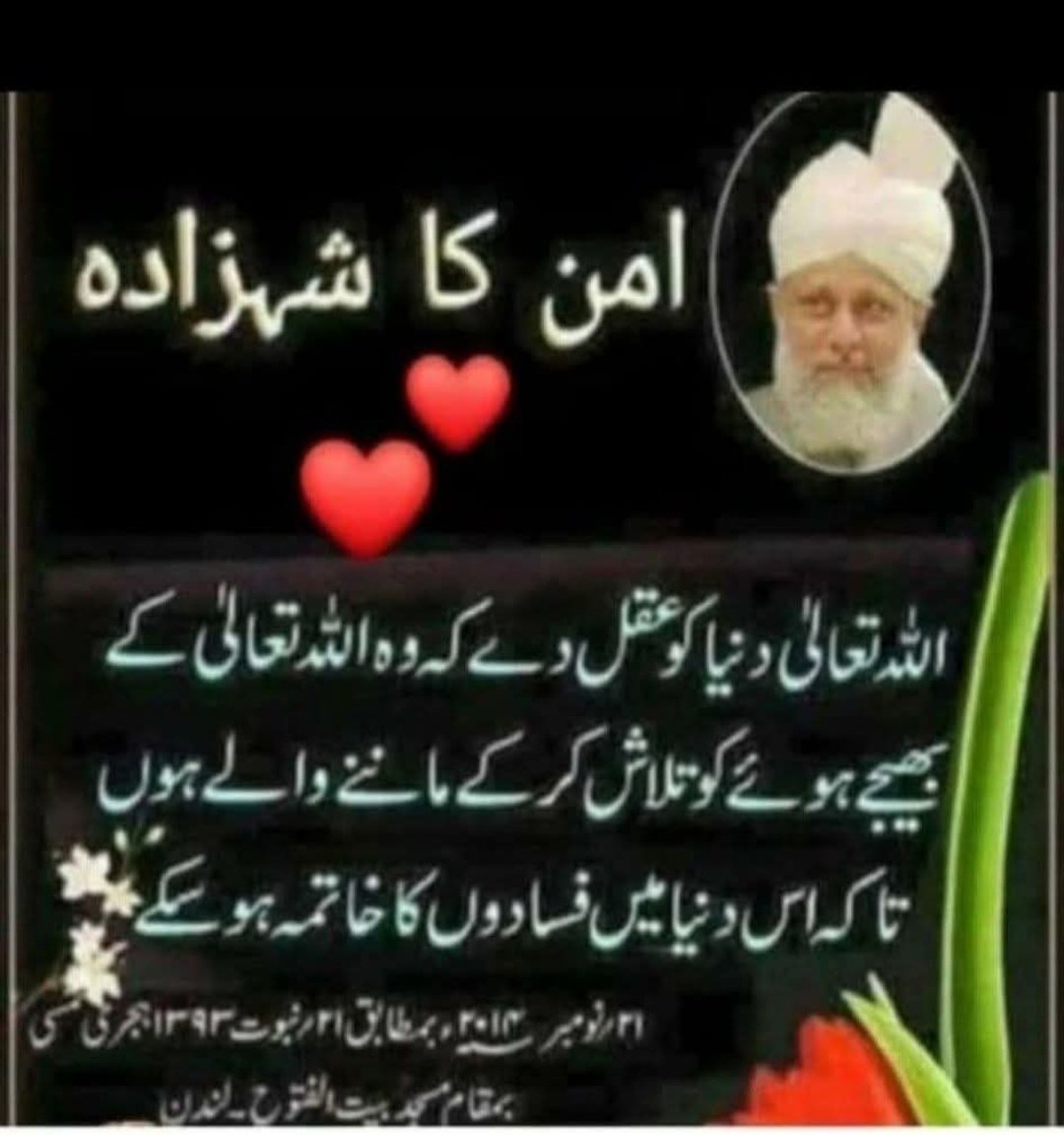 Amtul Hafeez tweet media