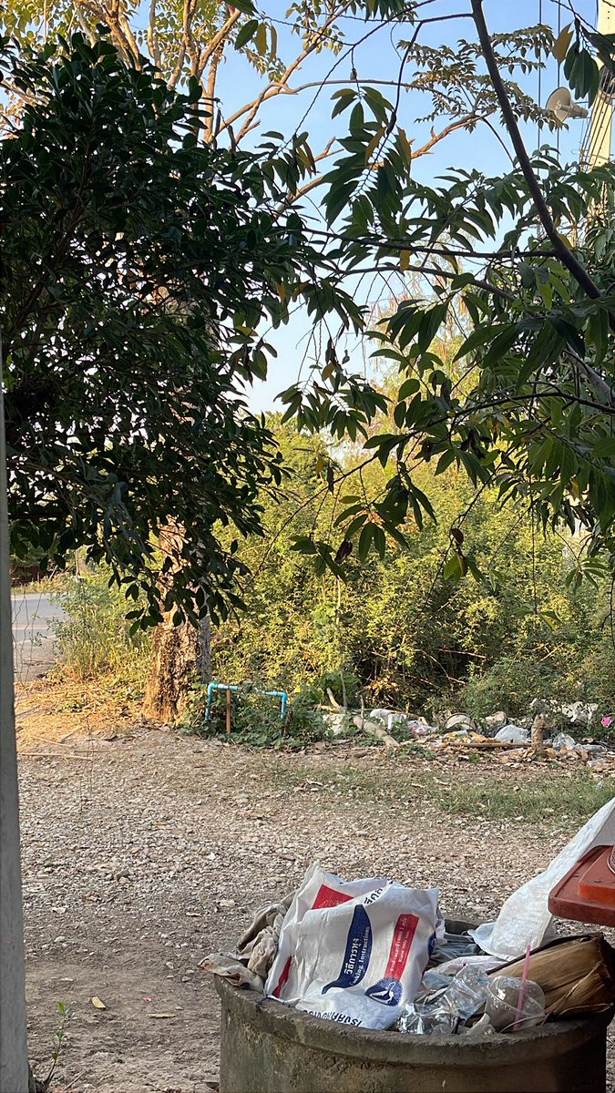 vrssond's tweet photo. จะมีคนเหนไหม อิอิ เอ้าดอรวันนี้
#สุโขทัย
#เอ้าดอร์สุโขทัย
#ลับๆนัดเยบกัน
#เปิดประสบกานทักมาคะ https://t.co/yEjCzx3sYe