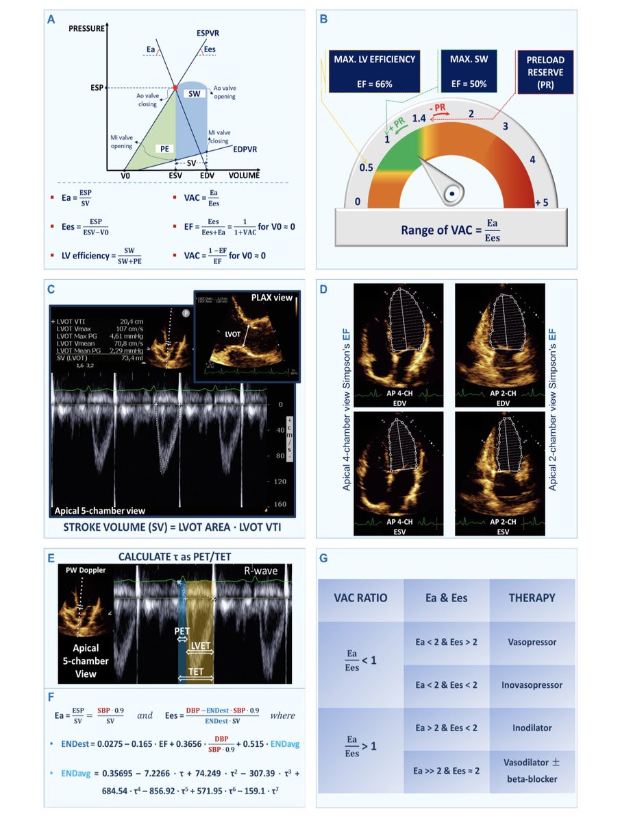 Hatem Soliman Aboumarie, FRCP, FEACVI, FASE, FHEA tweet media