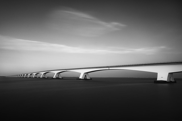 Michelle Moore tweet media