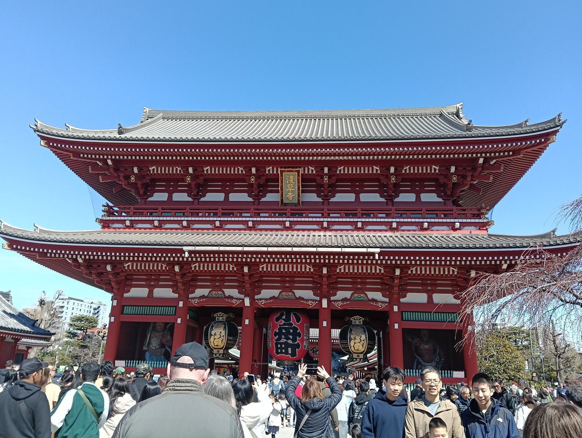 鶴舞舞🦩 tweet media