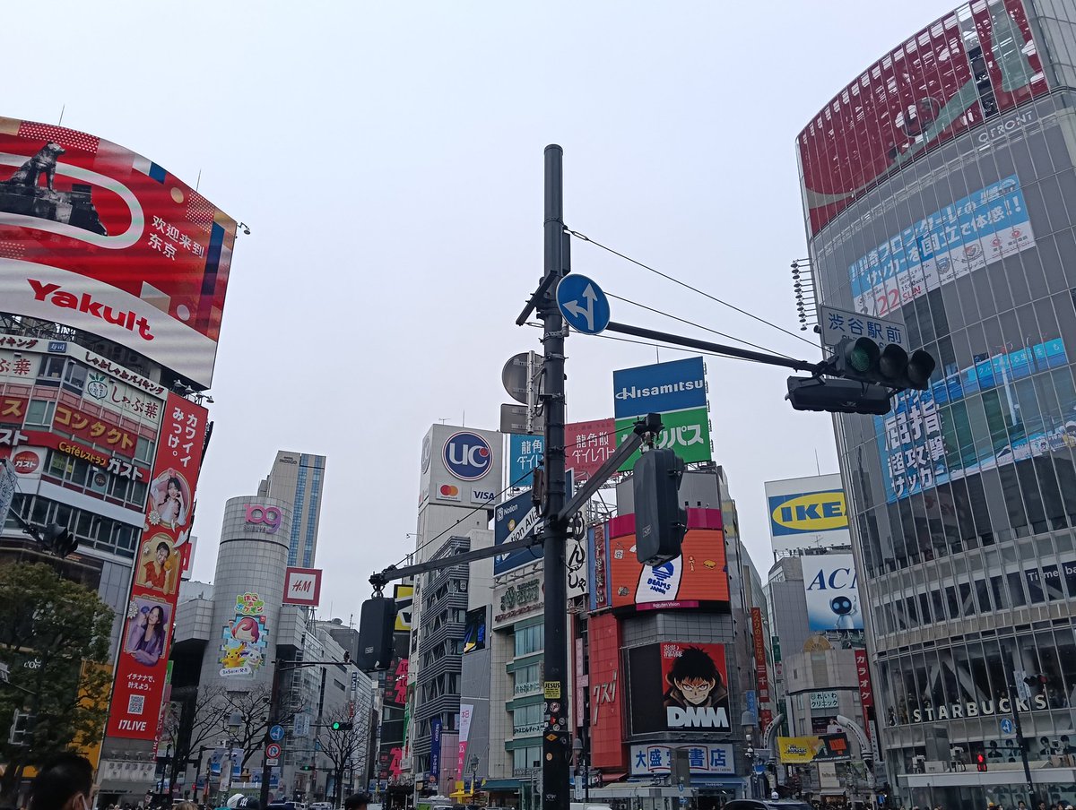 鶴舞舞🦩 tweet media