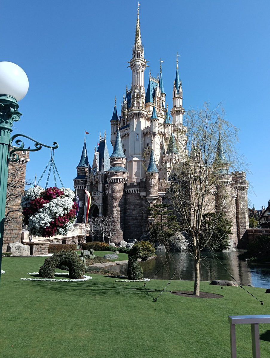 鶴舞舞🦩 tweet media