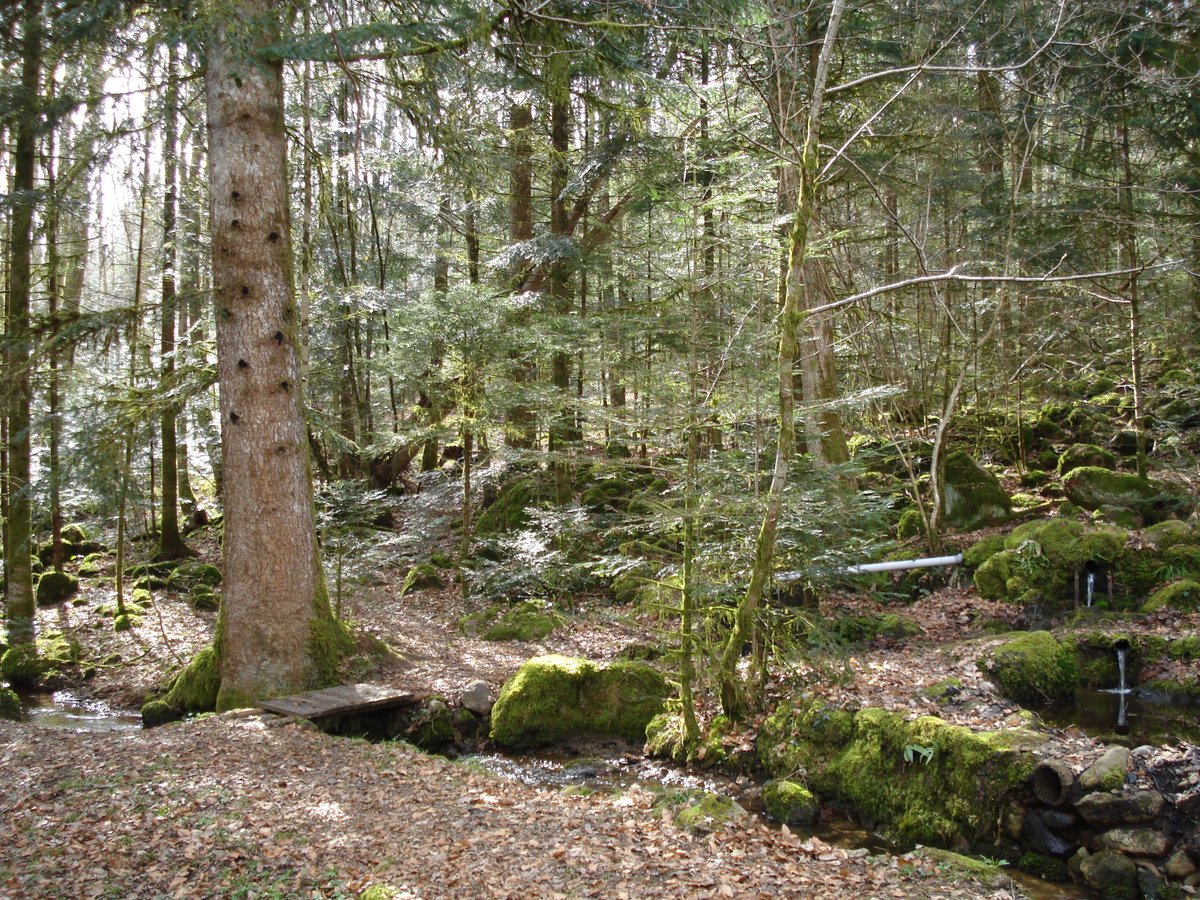 KrapulaX tweet media