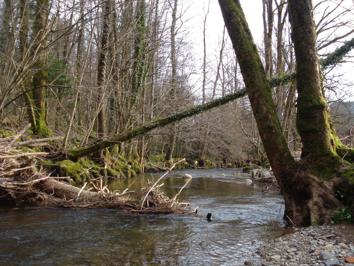 KrapulaX tweet media