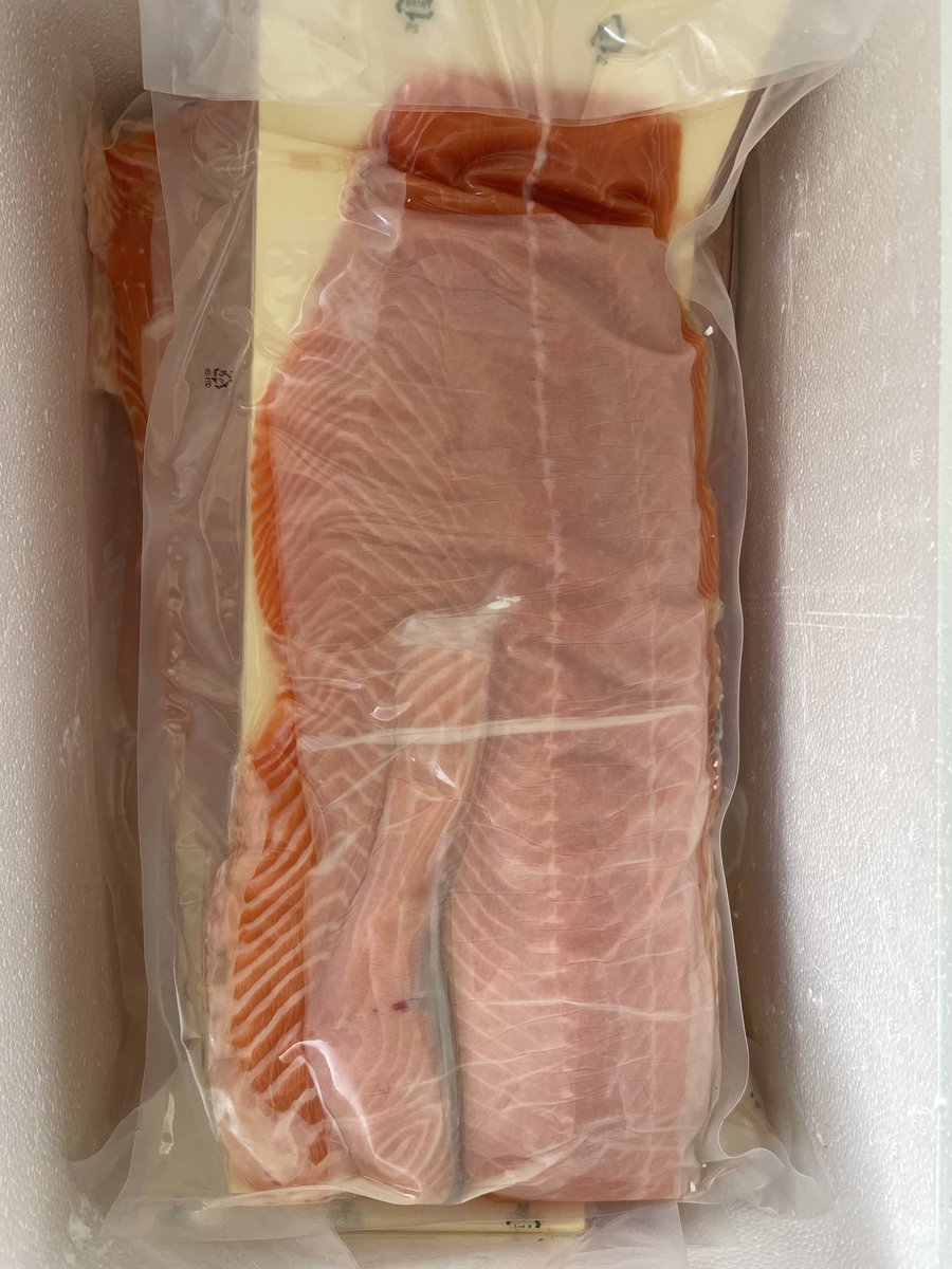 근토리 tweet media