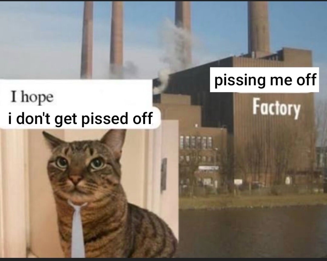 JournalOfDecline tweet media