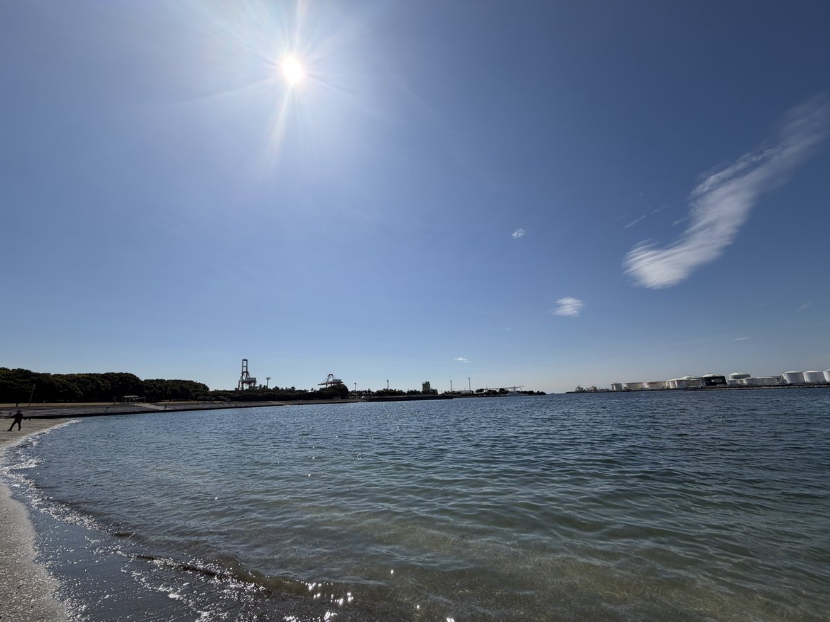 GROW mo-mon_ tweet media