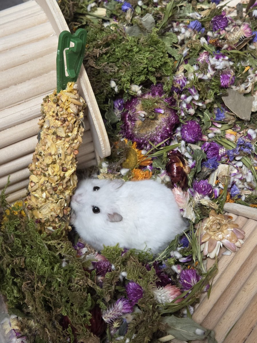 조지와 에드 tweet media