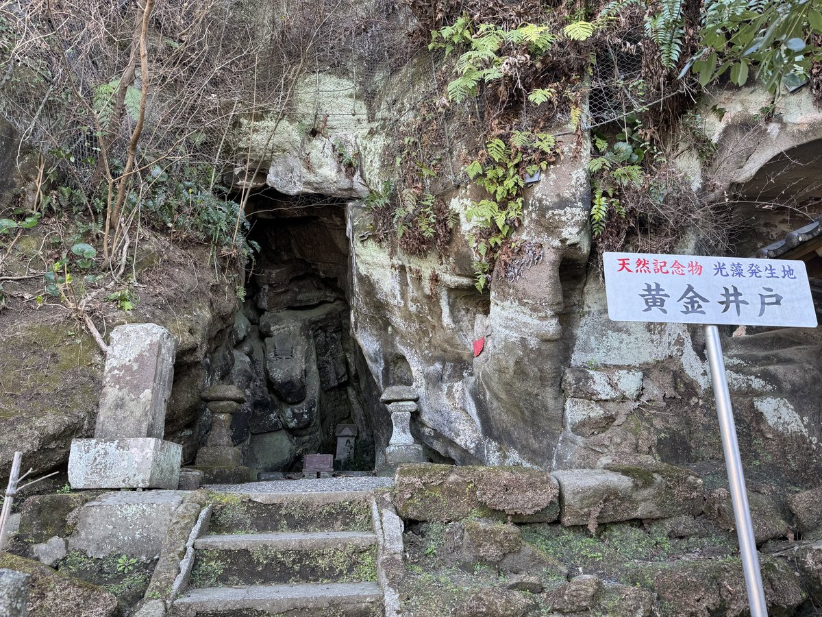 Makoto OTSUBO tweet media