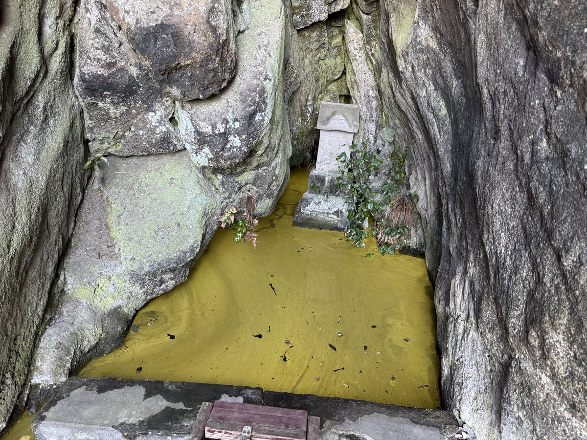 Makoto OTSUBO tweet media