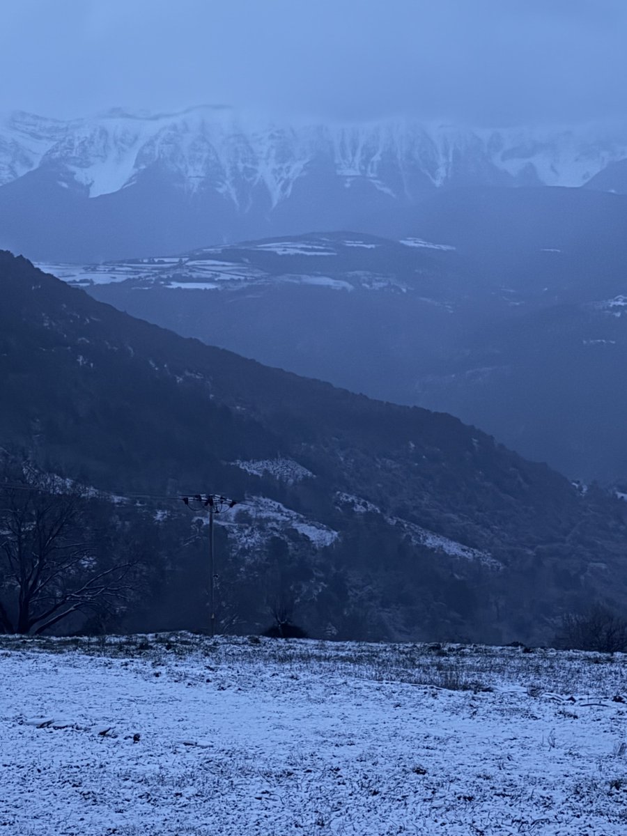 Albert Villaró tweet media