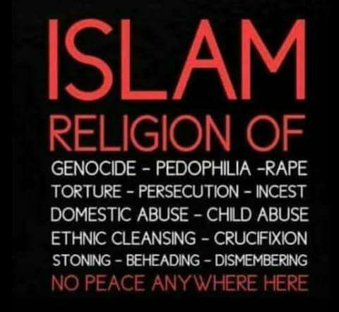 VWBurnett1's tweet image. 