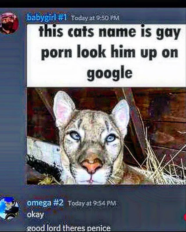 MasterDempsy tweet media