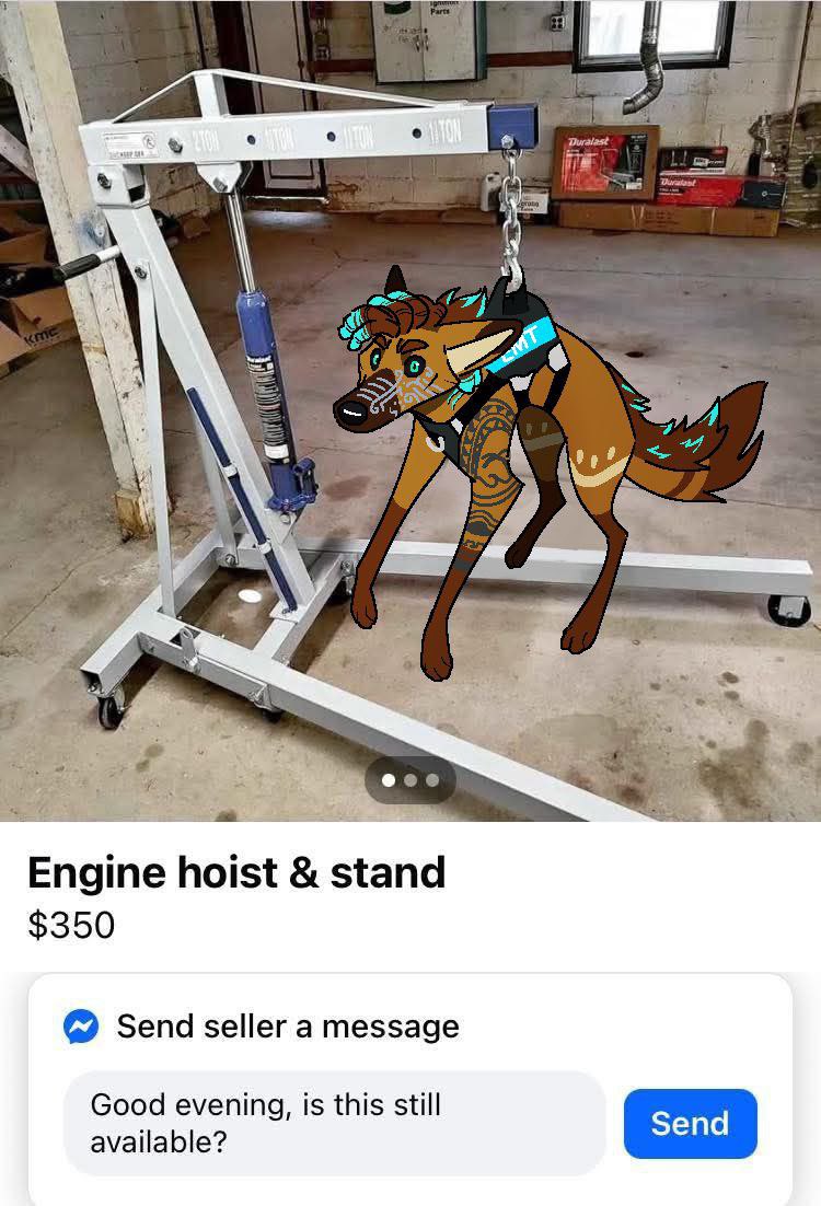 SharKai™ tweet media