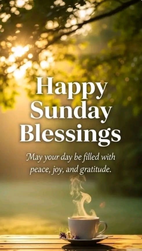 <a href="/EmmjayDblessed/">Nkosinathi®✨️</a> <a href="/MYavhudi/">MphoYavhuḓi 👸🏽</a>