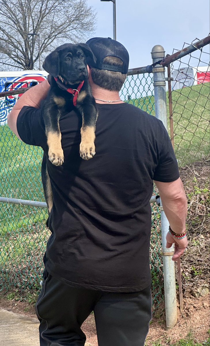 Brian Cox tweet media