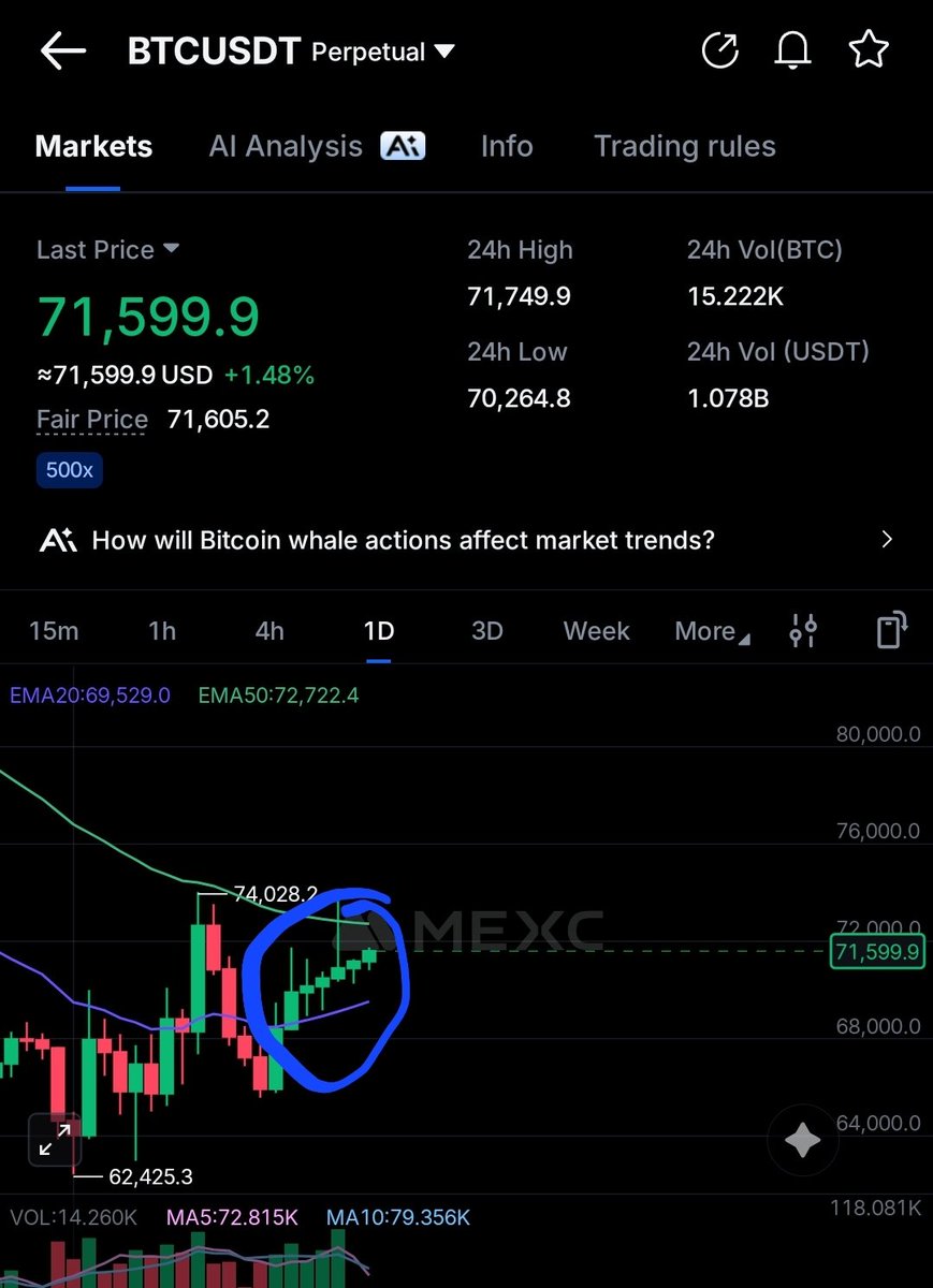 Crypto Hare tweet media