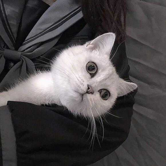 Craving adventure but my bank account says no