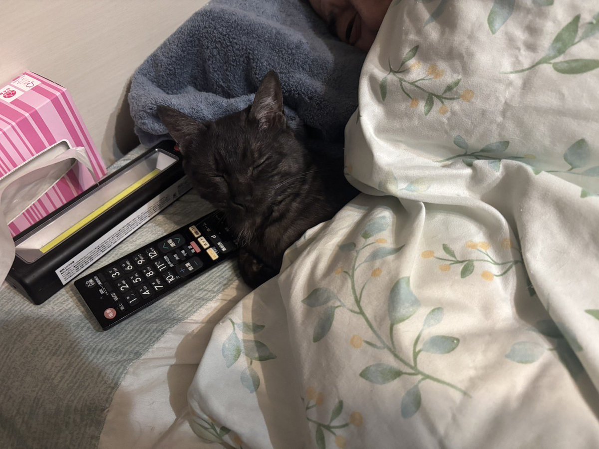 諸我敦子  やすらぎ  釧路 tweet media