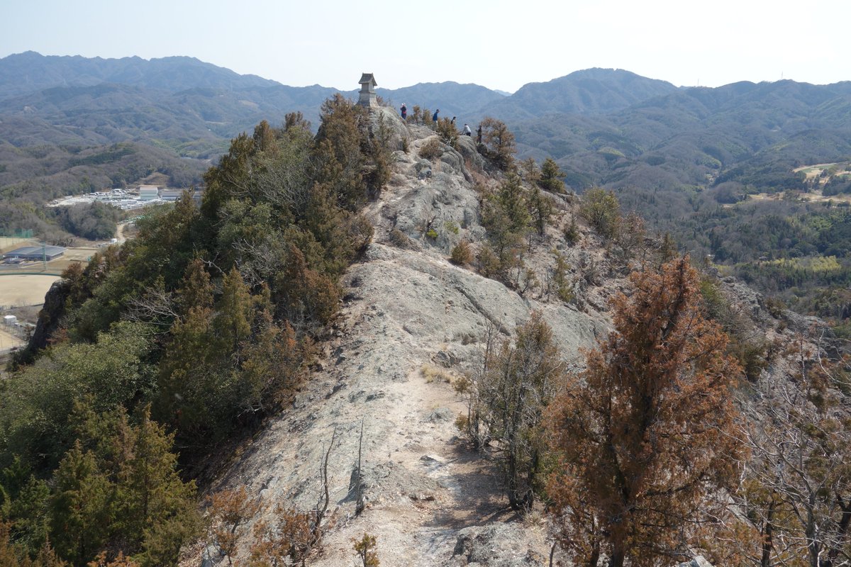 どーらく tweet media